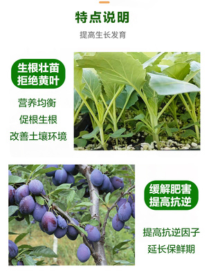 一噴煥綠 氨基酸水溶肥如何喚醒植物的光合生命力