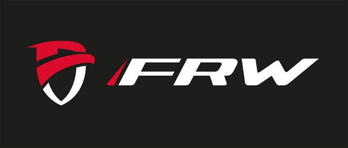 官方發布 世界十大碳纖維公路自行車品牌權威排行榜，輻輪王、土撥鼠領銜